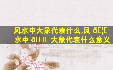 风水中大象代表什么,风 🦄 水中 🐅 大象代表什么意义